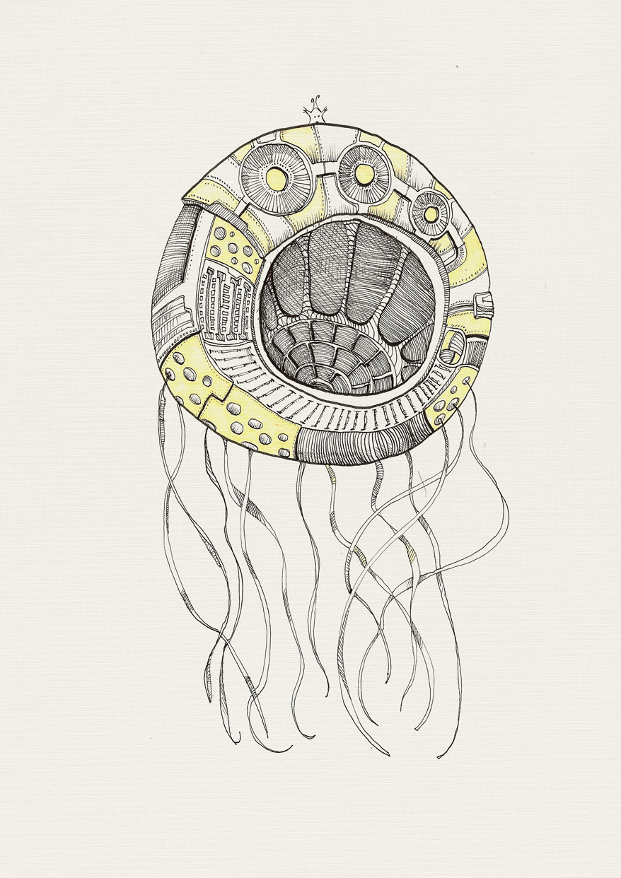 SummerCity SummerCity